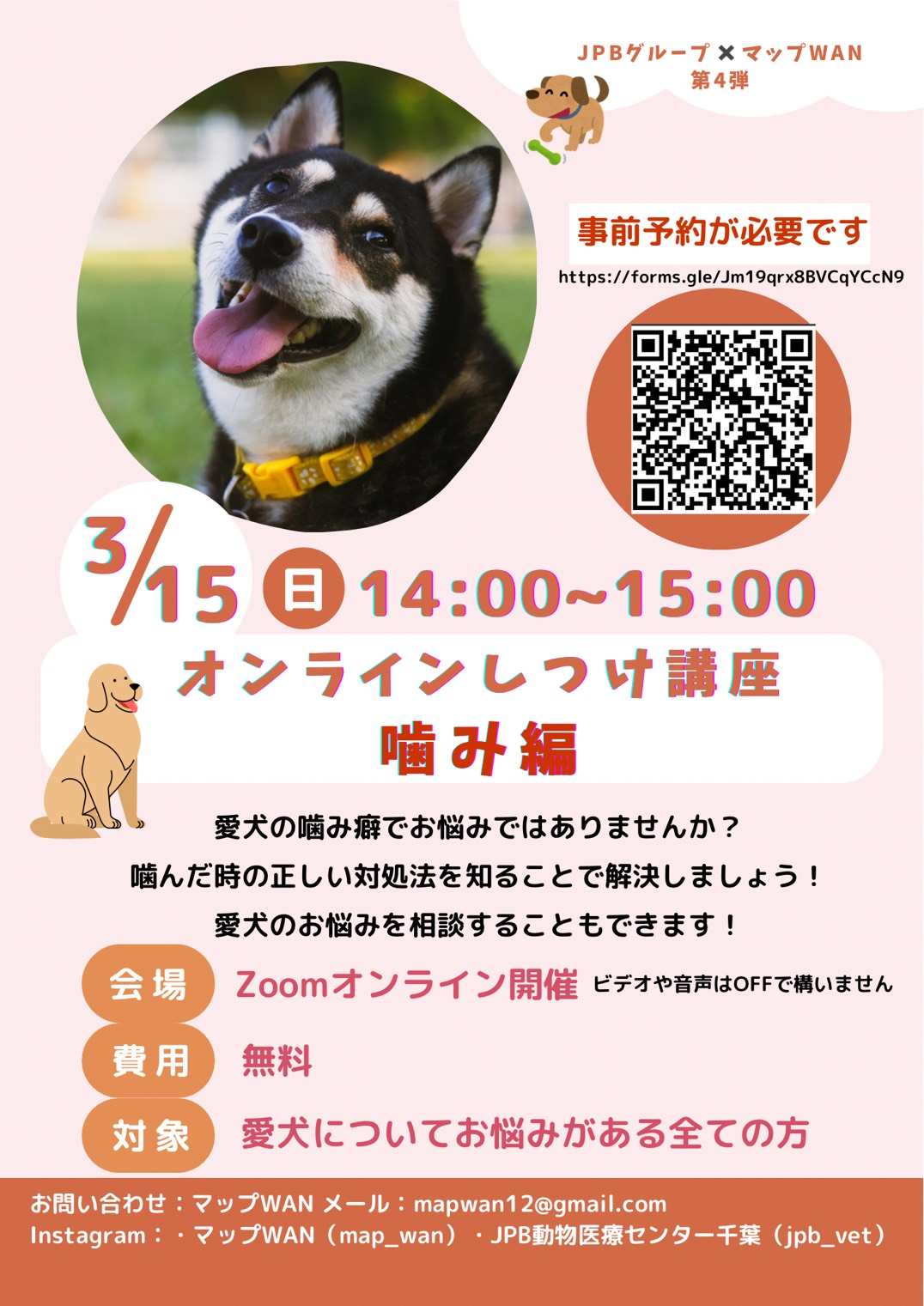 第4回 オンライントレーニングセミナー - 千葉市緑区の動物病院-JPB